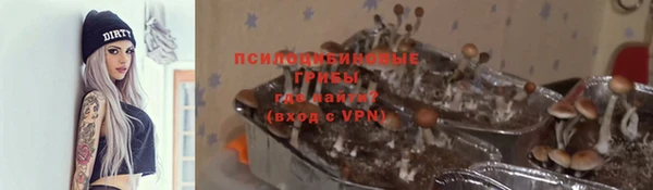 apvp Приозерск