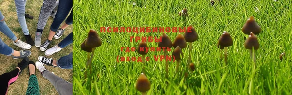 apvp Протвино