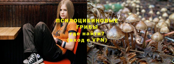apvp Приозерск