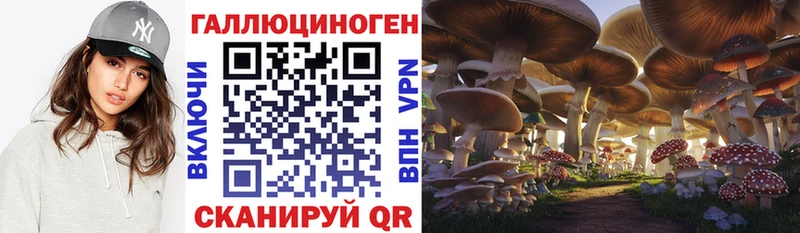 Галлюциногенные грибы GOLDEN TEACHER  Себеж 
